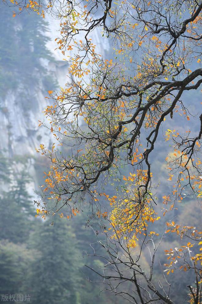 重阳节登高是什么意思就是_重阳节登高的原因_重阳登高的原因