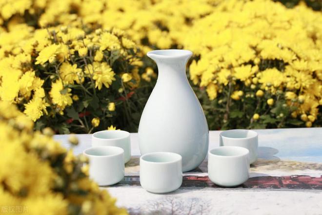 重阳登高的原因_重阳节登高是什么意思就是_重阳节登高的原因