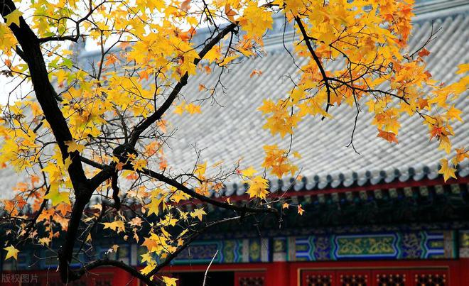 重阳节登高的原因_重阳登高的原因_重阳节登高是什么意思就是