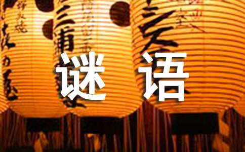 儿童趣味谜语大全及答案