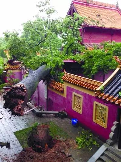 山行中的霜叶点明是什么季节_山行中的霜叶点明是什么季节_山行中的霜叶点明是什么季节