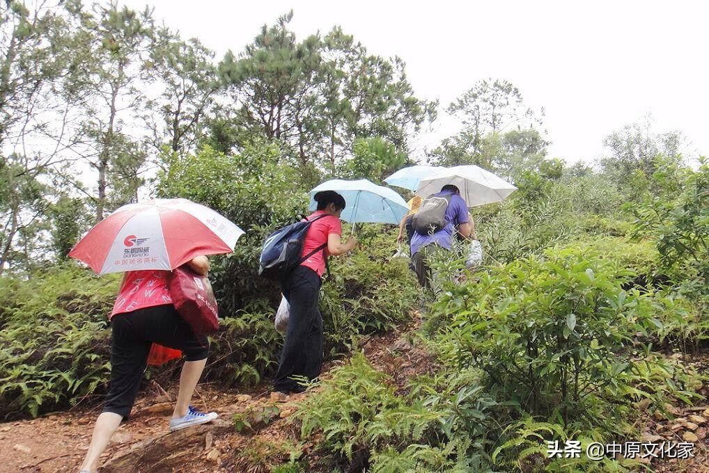 重阳节登高的意思是什么_重阳节登高意味着什么_登高重阳节