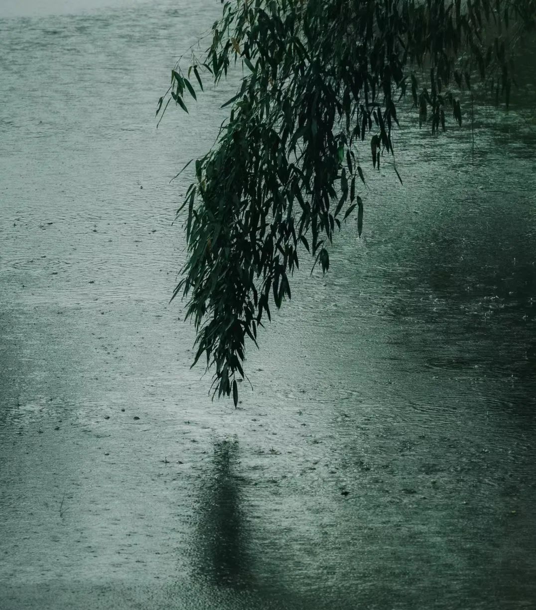 一蓑衣烟雨任平生_平生烟雨任一蓑_蓑烟雨任平生也无风雨也无晴