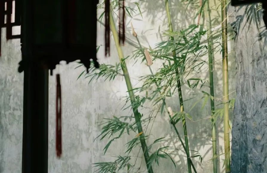 平生烟雨任一蓑_一蓑衣烟雨任平生_蓑烟雨任平生也无风雨也无晴