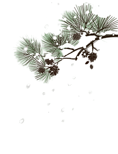 一蓑衣烟雨任平生_平生烟雨任一蓑_蓑烟雨任平生也无风雨也无晴