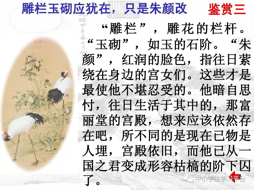 虞美人中的春花秋月是什么意思_虞美人古诗春花秋月_虞美人春花秋月何时了赏析