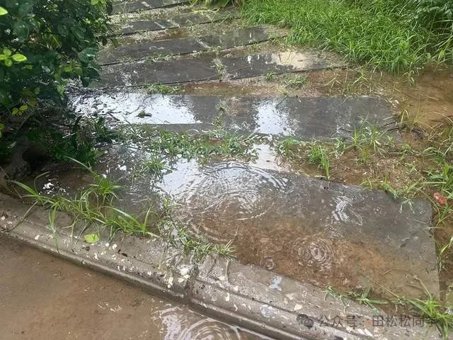 也无风雨也无晴的意思_无风无雨也无晴苏轼_无风雨也无晴是哪位诗人的名