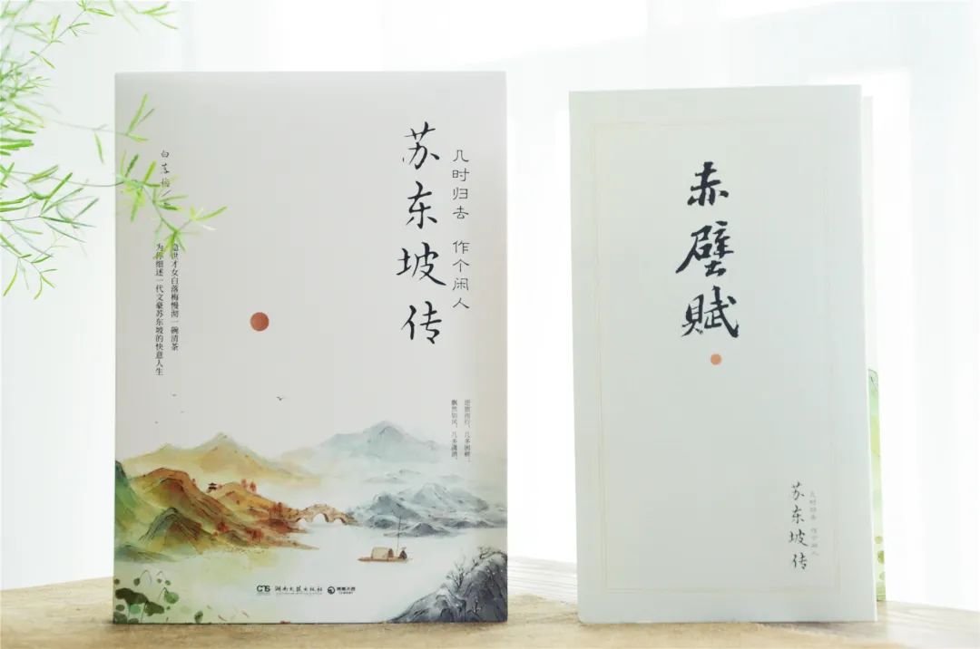 轻胜马谁怕一蓑烟雨任平生_竹杖芒鞋轻胜马谁怕一蓑烟雨_竹杖芒鞋轻胜马谁怕一蓑烟雨
