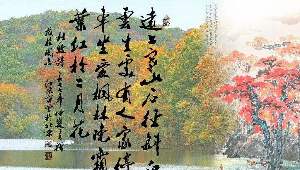 山行中的霜叶点明是什么季节_山行中的霜叶点明是什么季节_山行中的霜叶点明是什么季节