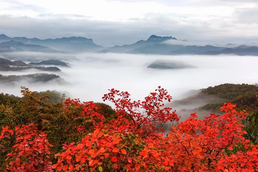 山行中的霜叶点明是什么季节_山行中的霜叶点明是什么季节_山行中的霜叶点明是什么季节