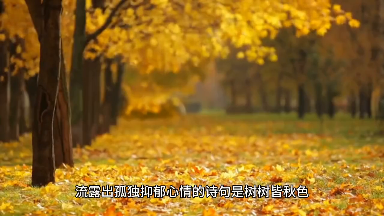 望岳春望茅屋为秋风所破歌_望岳春望对比阅读_望岳和春望