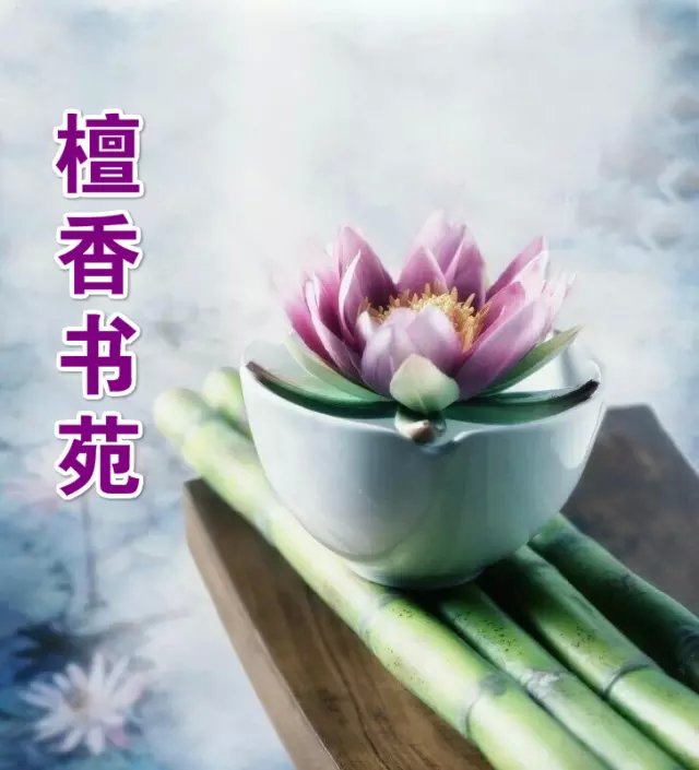 【檀香】此心安处是吾乡（散文）