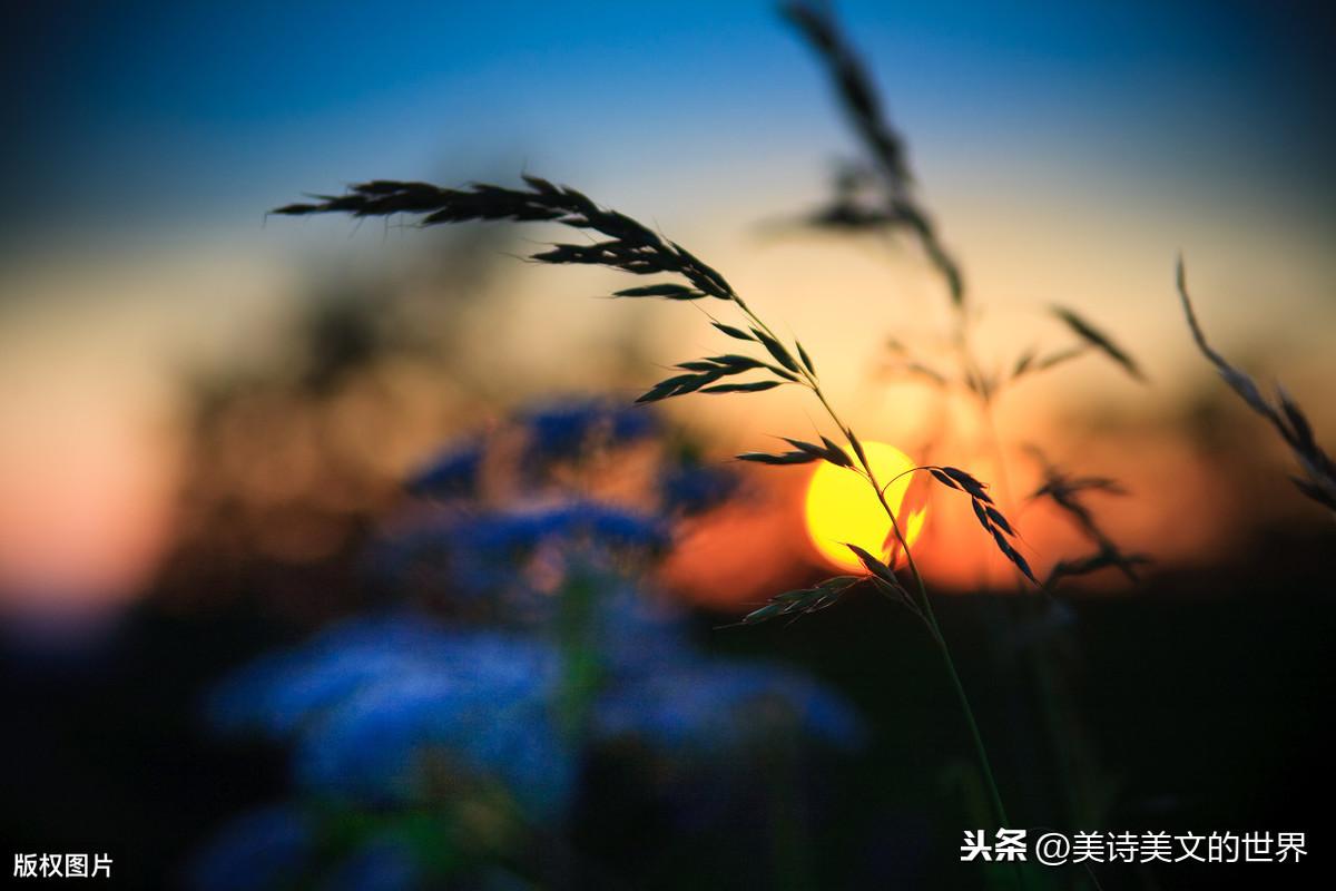 竹杖芒鞋轻胜马是什么意思_竹杖芒鞋轻胜马中的轻有何含义_竹杖芒鞋轻胜马的轻