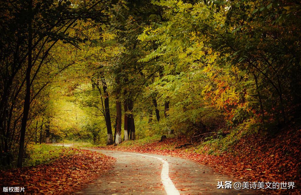 竹杖芒鞋轻胜马是什么意思_竹杖芒鞋轻胜马的轻_竹杖芒鞋轻胜马中的轻有何含义