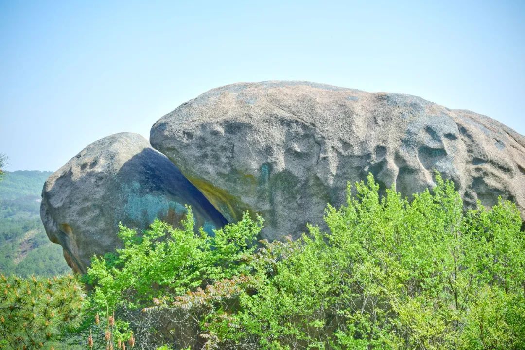 重阳登高处_重阳时节登高去_武汉重阳登高
