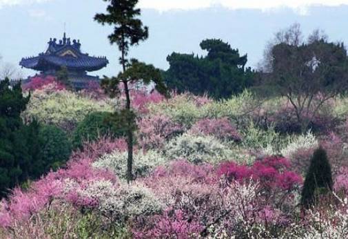 武汉重阳登高_重阳登高的意义是什么_重阳时节登高去