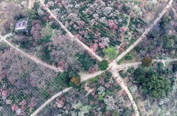 武汉重阳登高_重阳登高的意义是什么_重阳时节登高去