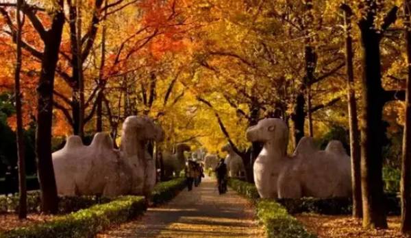武汉重阳登高_重阳登高的意义是什么_重阳时节登高去