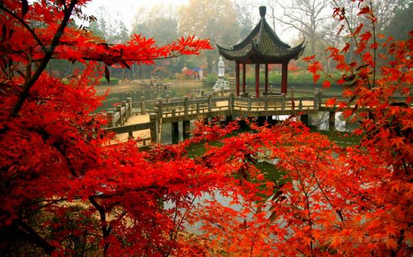 重阳时节登高去_重阳登高的意义是什么_武汉重阳登高