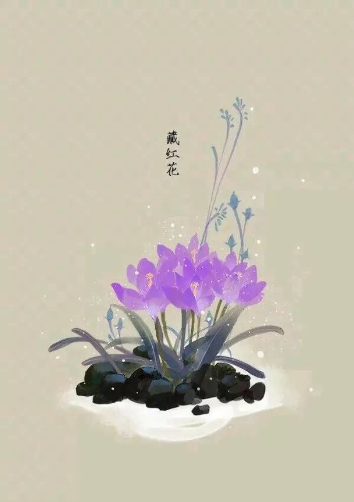 咏柳哪句是名句_咏柳的名句是什么_咏柳其中什么是名句