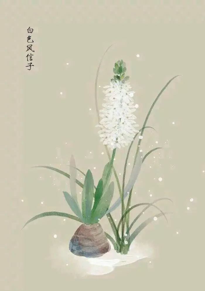 咏柳的名句是什么_咏柳哪句是名句_咏柳其中什么是名句