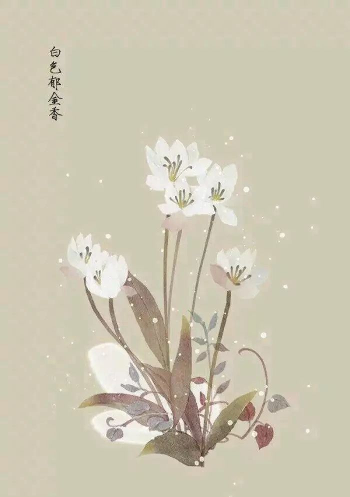 咏柳哪句是名句_咏柳的名句是什么_咏柳其中什么是名句
